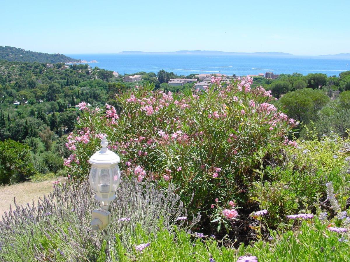 Azur Hotel Le Lavandou Luaran gambar