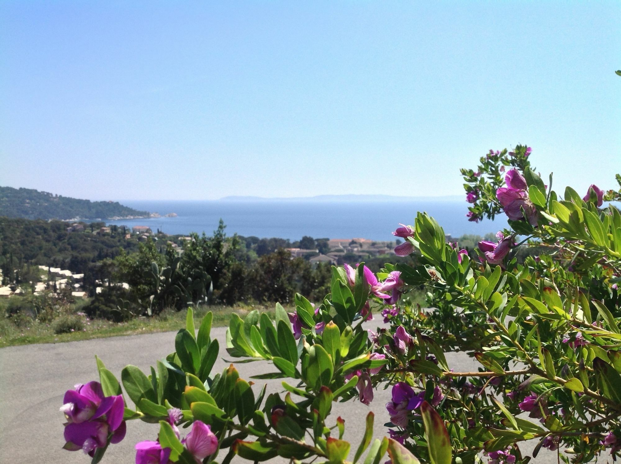 Azur Hotel Le Lavandou Luaran gambar